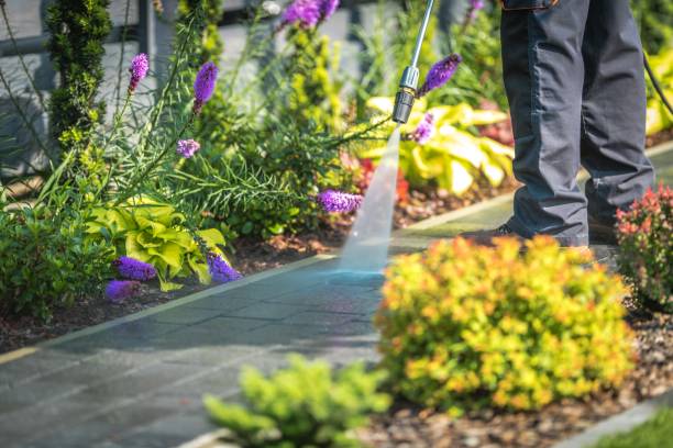 Trusted Carrollton, IL Pressure Washing Services Experts